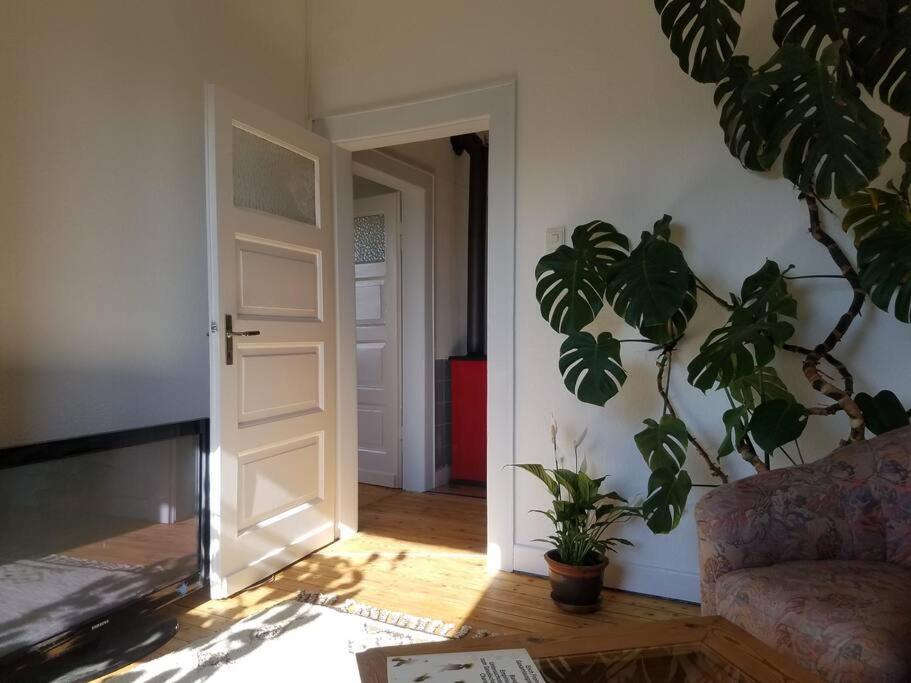 Ferienwohnung Alte-Schule-Kail Wohnung 2 Zewnętrze zdjęcie